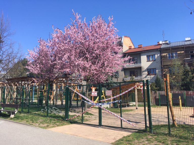 Jana Krumpholcová: Obnovme služby města!