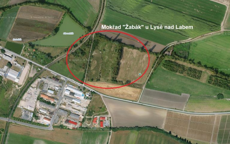 Jana Krumpholcová: Občané bojují za záchranu mokřadu u Lysé nad Labem