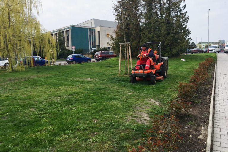 Proč ničíme zeleň, která nás chrání před suchem, horkem a prachem?