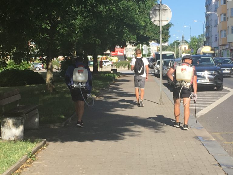 Jedy pod naše nosy aneb Roundup v ulicích Mladé Boleslavi