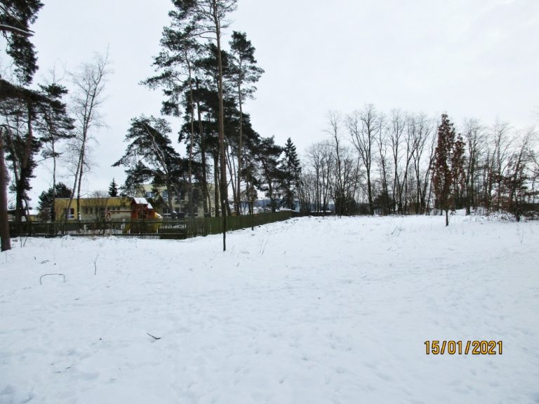 Kauza lesa na okraji Mladé Boleslavi poukázala na neplatné smlouvy