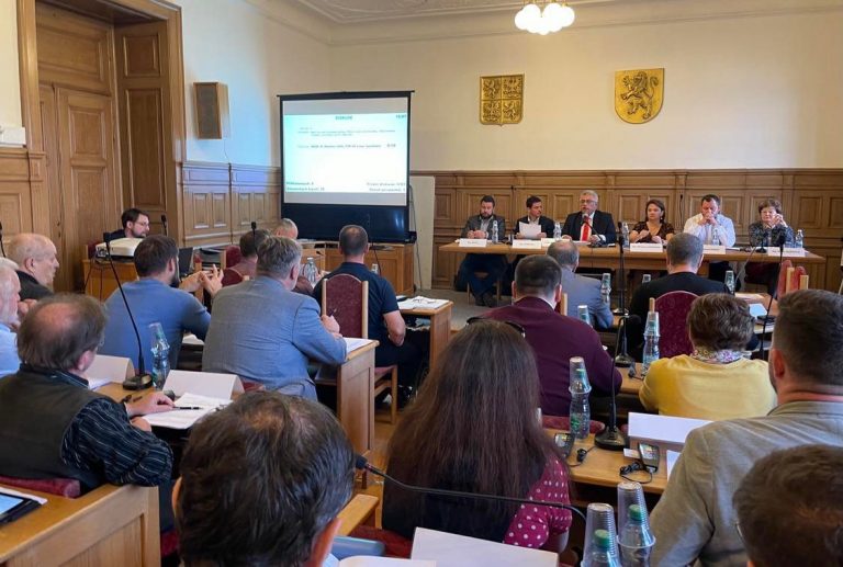 První řádné zastupitelstvo – kvůli kritice místních poměrů není J. Krumpholcová členkou žádného výboru