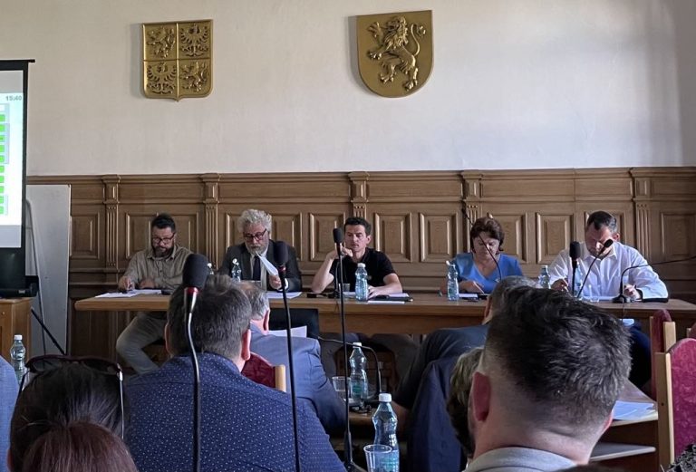 Být politikem se vyplatí! Nebo ne?