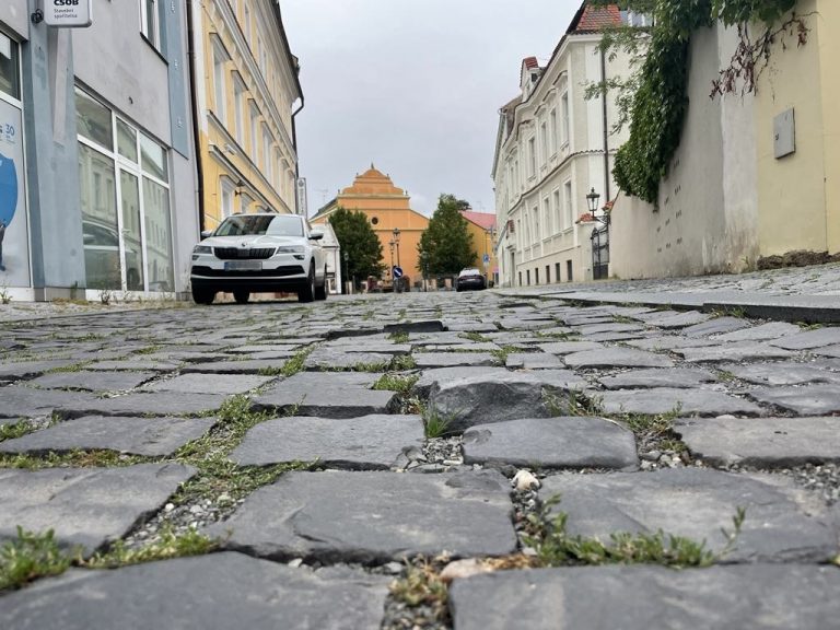 Naše očekávání v roce 2026